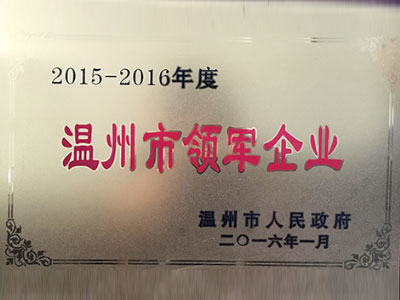 2015-2016年度溫州市領軍企業(yè)